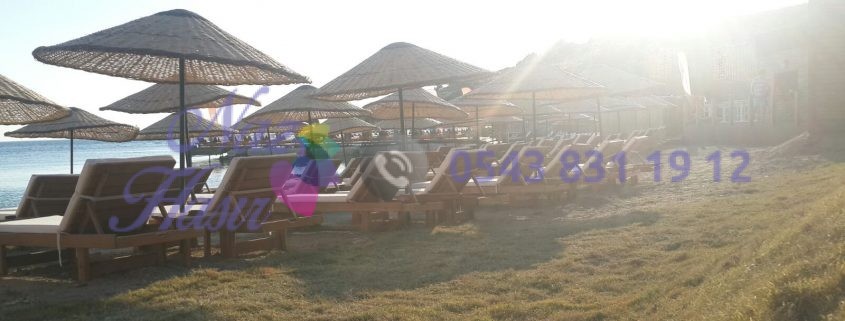 Bursa Hasır Dekorasyon 1 Bursa Hasır Dekorasyon, Bursa Hasır Dekorasyon Firmaları, Bursa Hasır Dekorasyon Fiyatları, Bursa Hasır Dekorasyon Yapan Firmalar, Hasır Dekorasyon Bursa