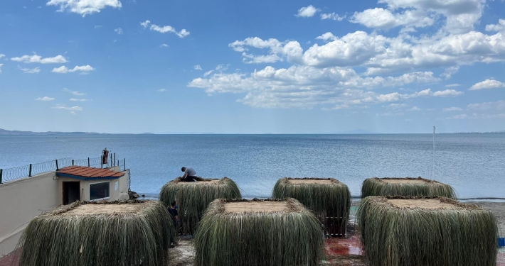 cati2-710x375 cati2 710x375 1